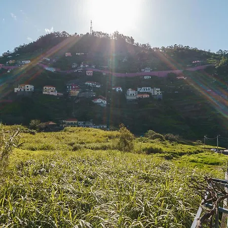 A Lovely In A Quiet Area