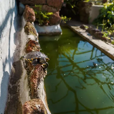 Апартаменты A Lovely In A Quiet Area