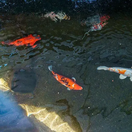 A Lovely In A Quiet Area *