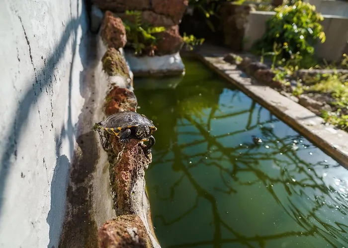 Appartement A Lovely In A Quiet Area