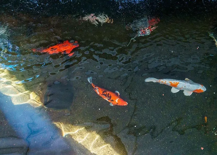 A Lovely In A Quiet Area *